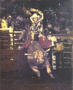 SCOTTSDALE ARIZONA JEEP HUMMER TOUR BULL RIDER